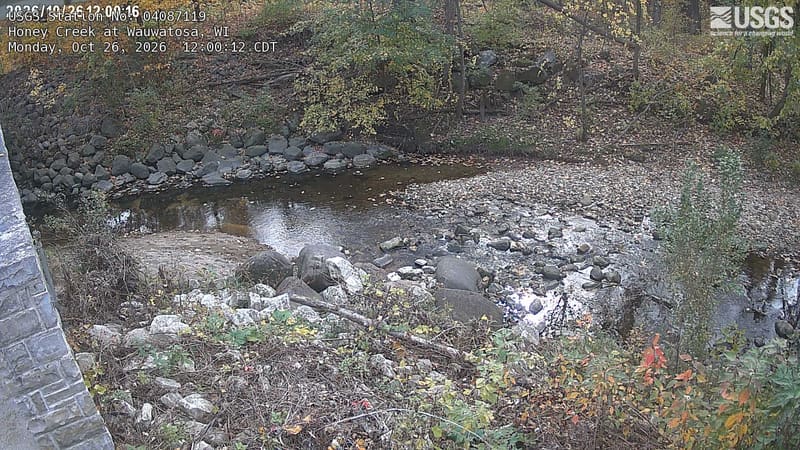 The shallow rocky creek runs between wooded banks, with green and yellow leaves above a carpet of fallen brown leaves. A bridge pier stands at the left edge.
