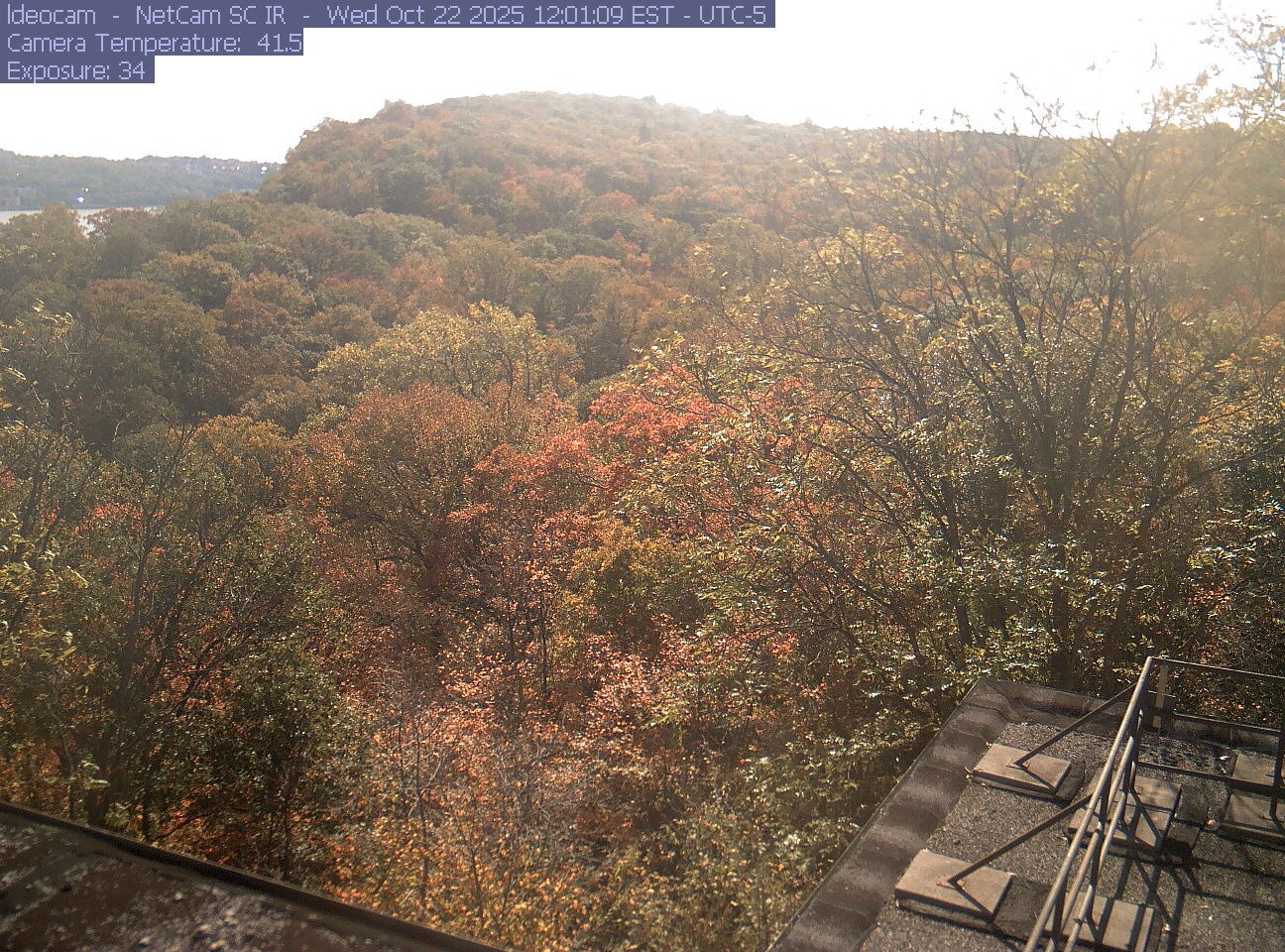 A wooded ridge rises behind close canopy at Lamont–Doherty Earth Observatory.