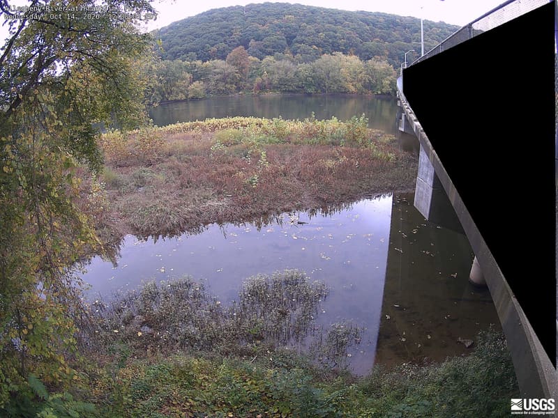 A broad wooded hill and riverbank canopy are clearly visible across the river, with close leaves at left. Most crowns remain green with scattered yellow. Strong bridge shadow and bright foreground limit colour comparison in those parts.