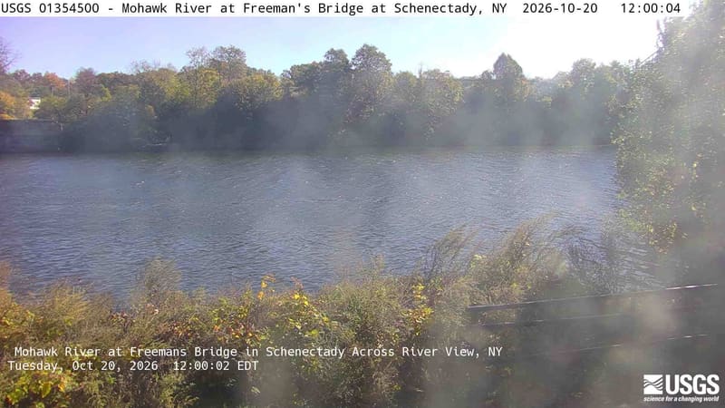 A broad far-bank row of green trees includes a clearly yellow-orange crown; close branches and a railing frame the river. Light haze and the water-filled foreground limit fine detail, but the tree crowns and their colors remain readable. The native clock differs from the provider overlay by one second.
