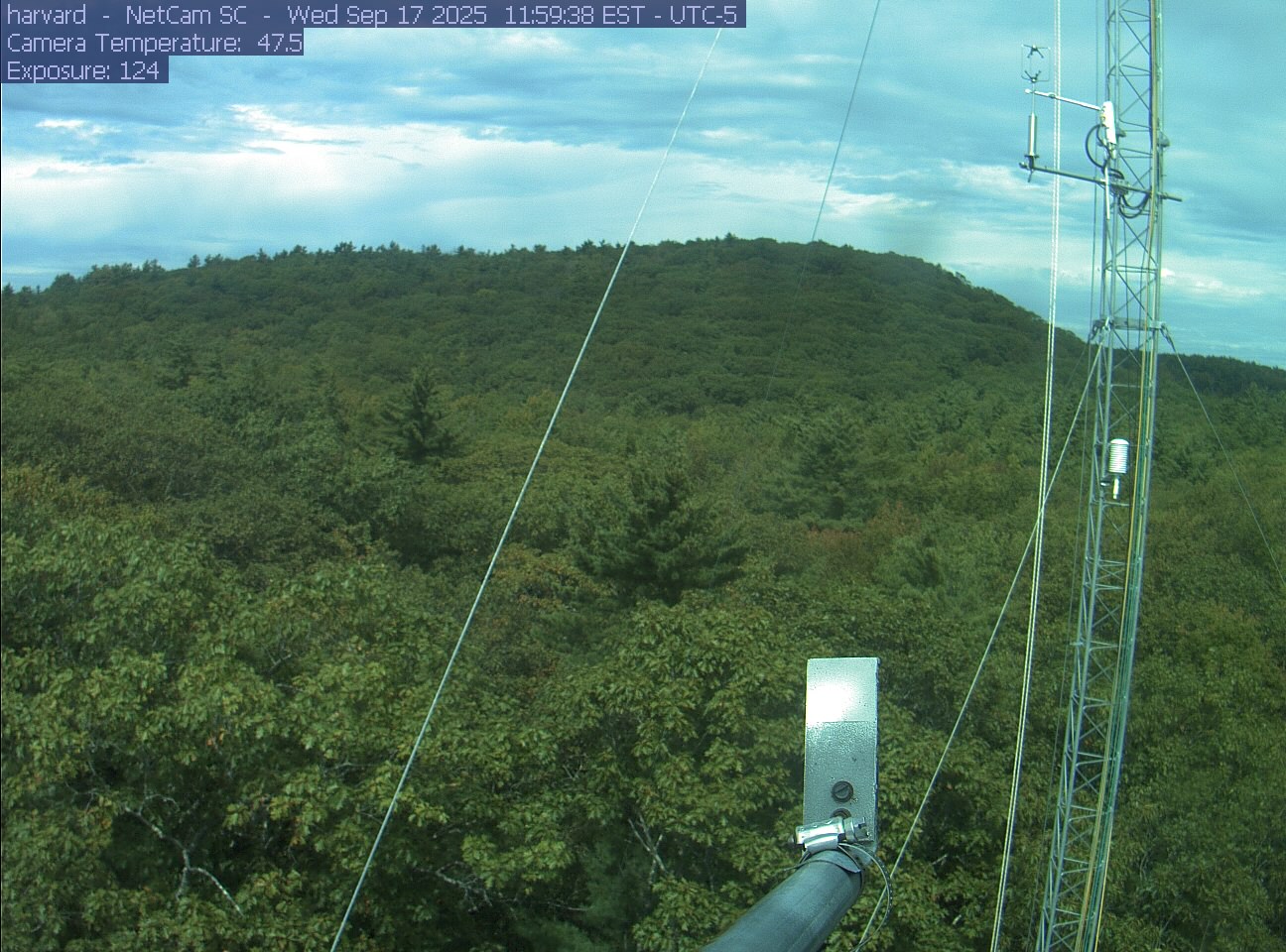 Forest canopy surrounds the tower, with a mast and instruments in the foreground.