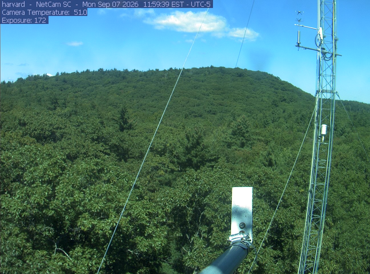 Forest canopy surrounds the tower, with a mast and instruments in the foreground.
