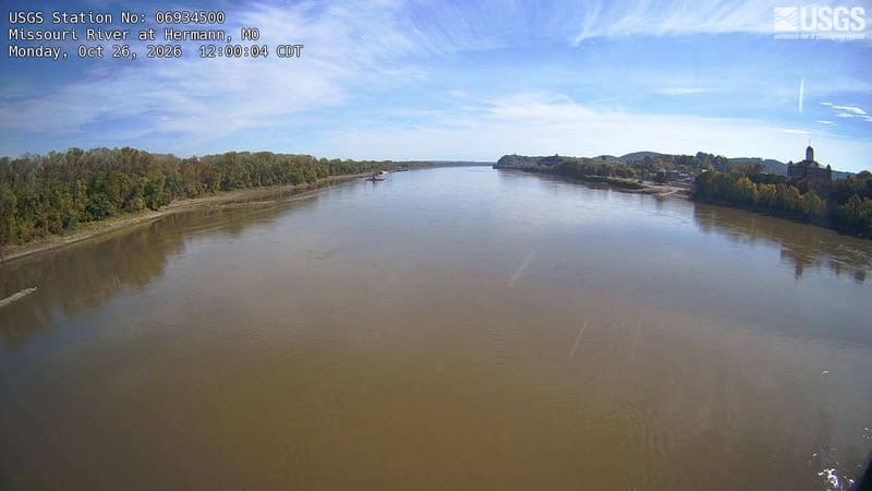 The wide river runs beside a long wooded bank on the left, with low wooded hills and town buildings on the right. Yellow and rusty crowns mingle with green trees along the water.