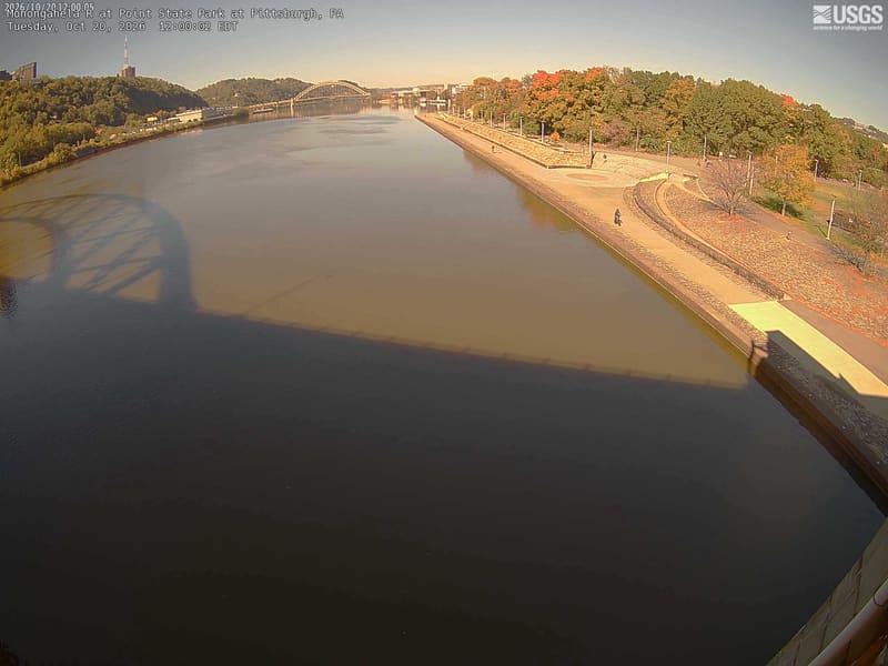 The river dominates, but the nearby park trees and wooded opposite slope are legible, with green crowns and several yellow/orange trees.