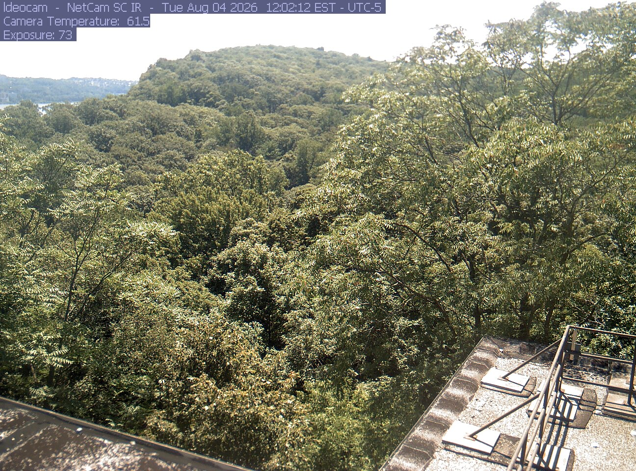 A wooded ridge rises behind close canopy at Lamont–Doherty Earth Observatory.