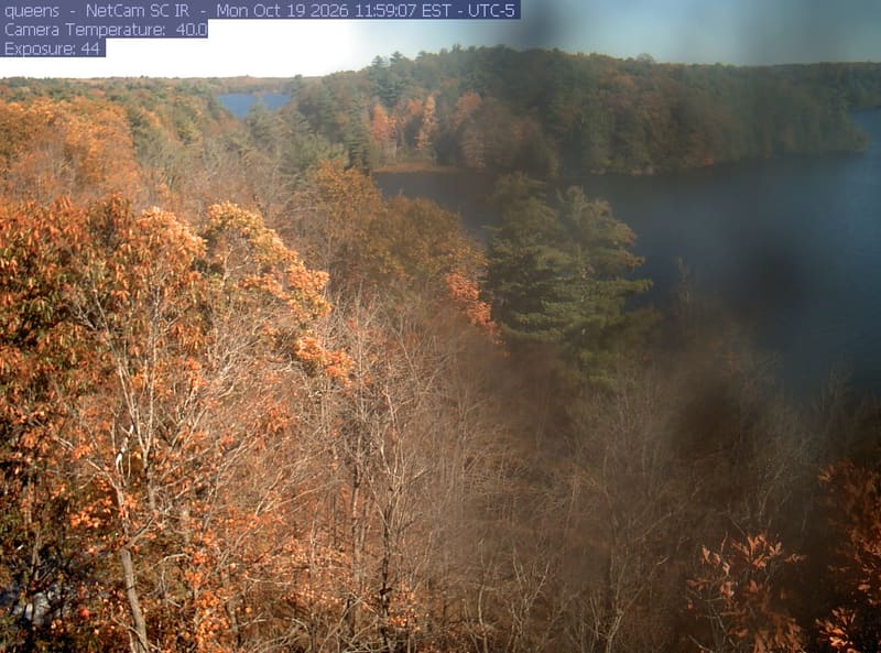 Orange and yellow broadleaf crowns fill the clear left side above a wooded lakeshore, while a broad smear obscures much of the centre and right.