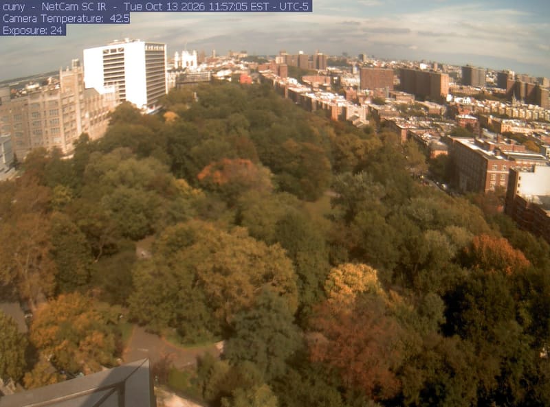 A large city park canopy fills the foreground between surrounding buildings. Green, yellow, bronze and a few orange-red crowns are individually distinguishable despite mild general softness.