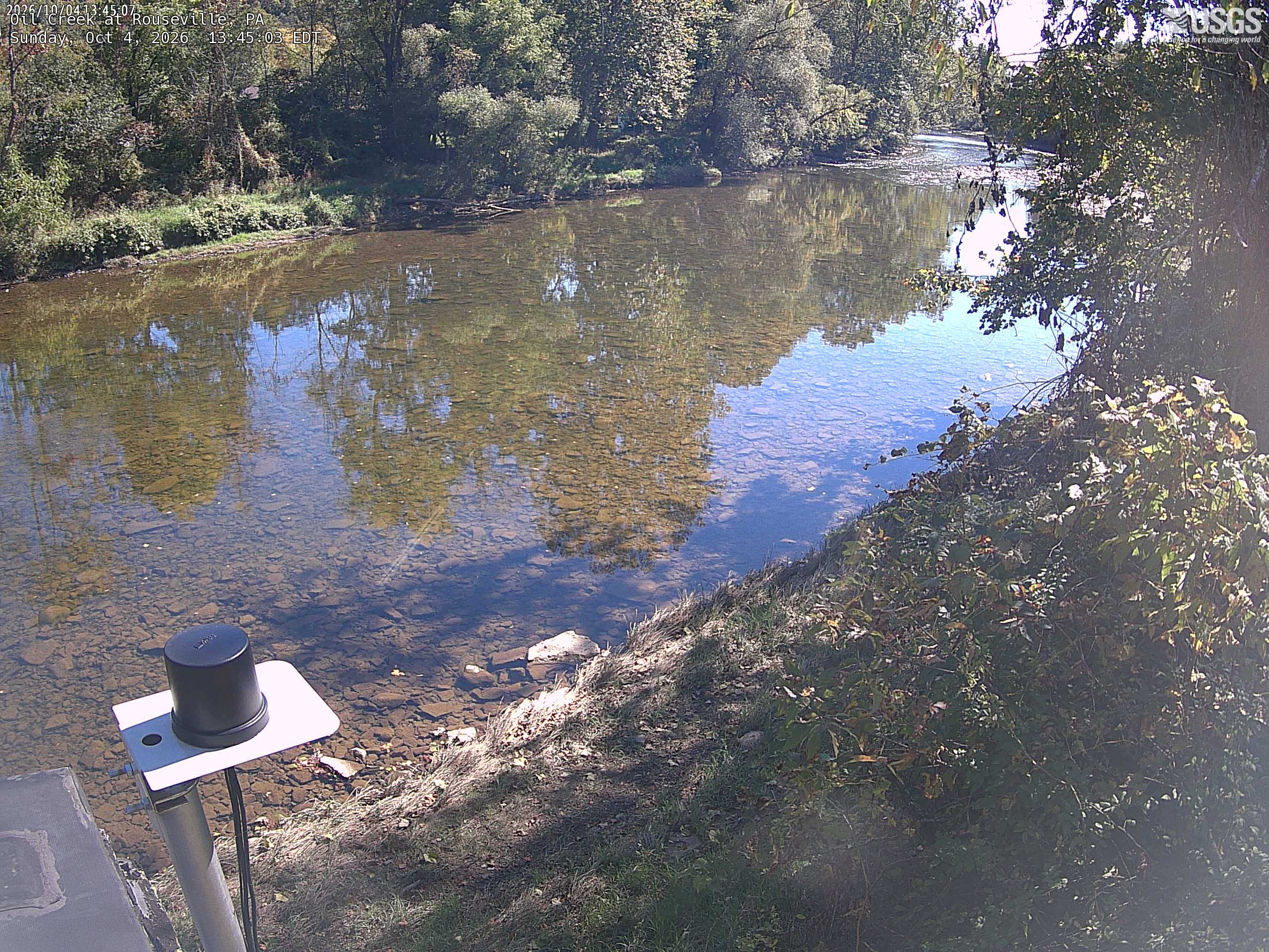 A clear wooded creek bend with green/yellow trees on the opposite bank and nearby leaves at right. Bright water reflection and deep tree shade make fine colour comparisons uneven.
