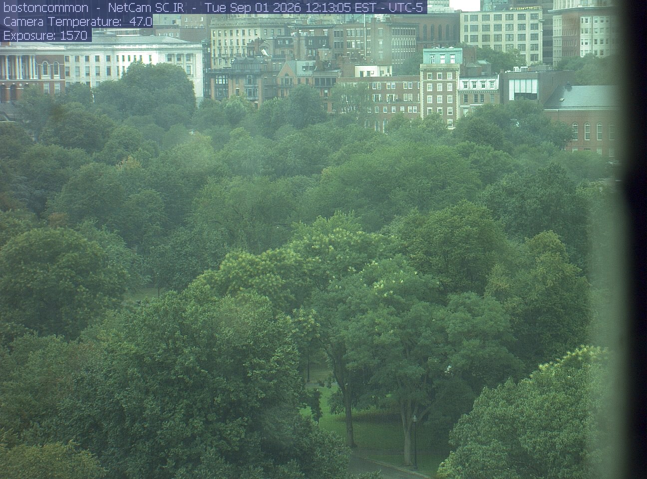 Buildings rise behind the park canopy; a fixed structure covers part of the right edge.