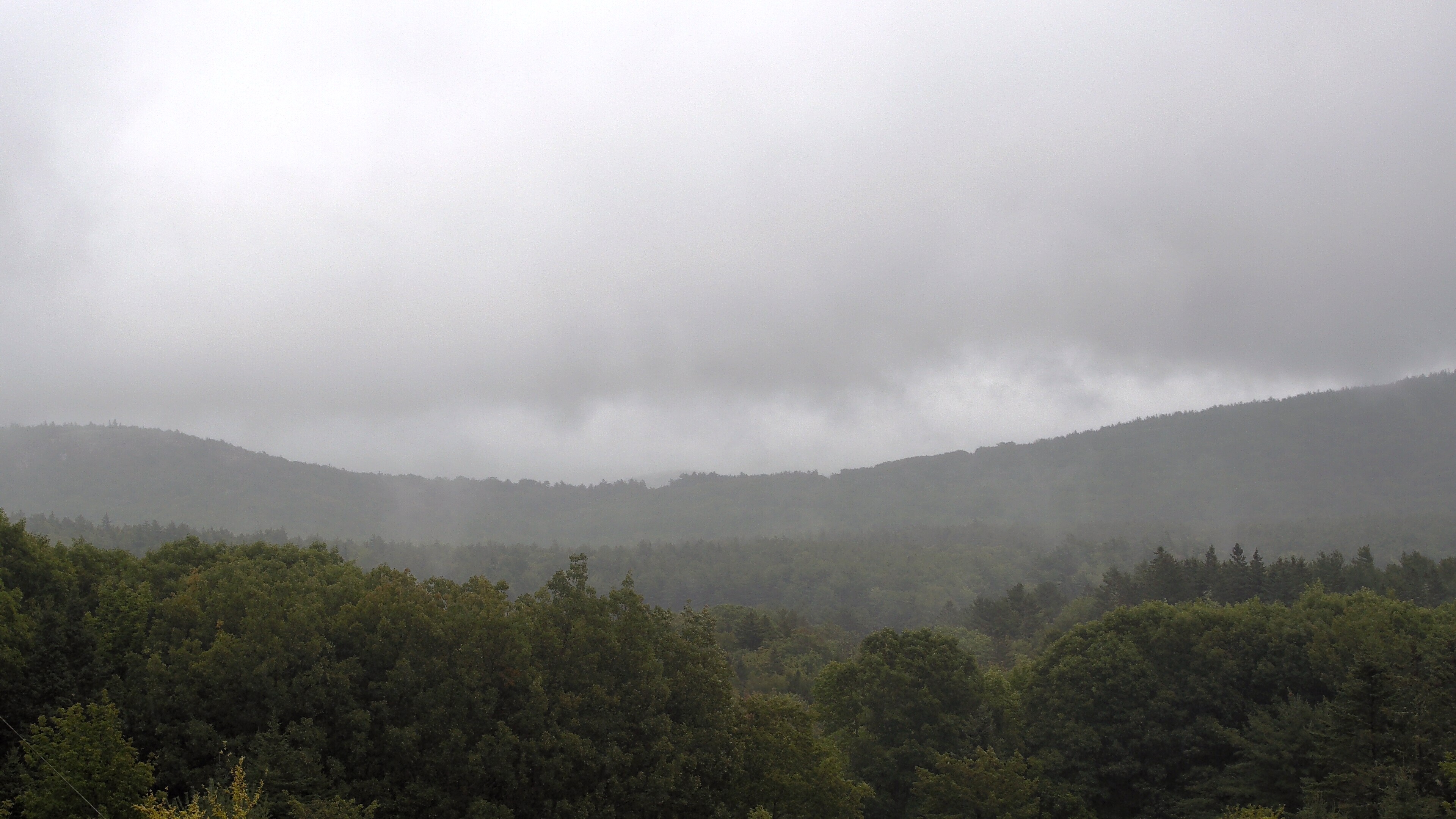 A wooded valley opens toward distant water, seen from McFarland Hill.
