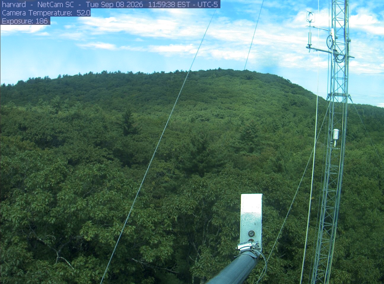 Forest canopy surrounds the tower, with a mast and instruments in the foreground.