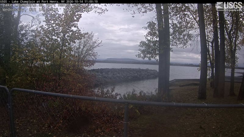 Yellowing trees and a red shrub frame a lake and distant low mountains, with large trunks and a waterfront fence in the foreground. The center has a little haze.