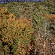 Woods at Durham, New Hampshire, October 22, 2026