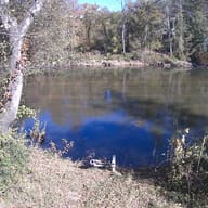 French Broad River near Bent Creek, October 25, 2026