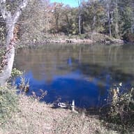French Broad River near Bent Creek, October 26, 2026